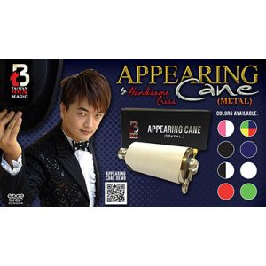 Appearing Cane (Metal / Black) by Handsome Criss Taiwan Ben Magic – Trick