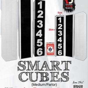 Smart Cubes (Medium / Parlor) by Taiwan Ben – Trick