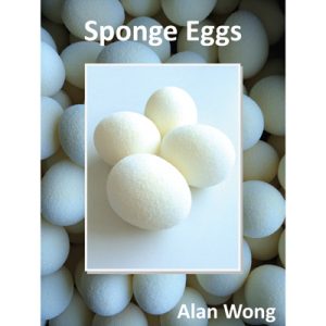 Sponge Eggs (4pk.) by Alan Wong – Trick