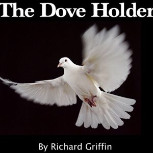 Dove Holder (Black) by Richard Griffin – Trick