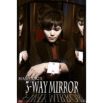 3-Way Mirror by Sean Yang and Magic Soul – Trick