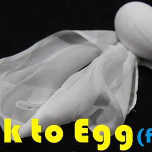Silk to Egg – Fast (Motorized) by Himitsu Magic – Trick