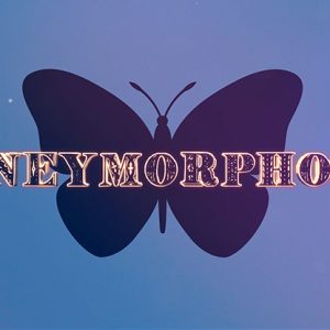 Moneymorphosis (Gimmick and Online Instructions) by Dallas Fueston and Jason Bird – Trick