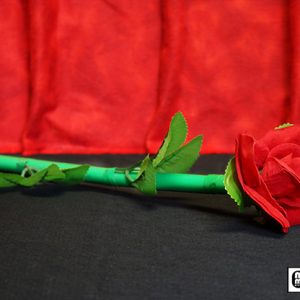 Break Away Rose by Mr. Magic – Trick