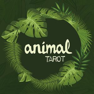 Animal Tarot (Gimmicks and Online Instructions)  by The Other Brothers – Trick
