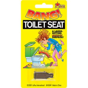 BANG! Toilet Seat Prank by Loftus – Tricks