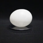 Deluxe Latex (Vinyl) Egg-Tissue to Egg Routine by Viking Magic – Trick