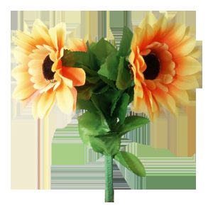 Amazing Split Sunflower by Premium Magic – Trick