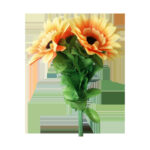Amazing Split Sunflower by Premium Magic – Trick
