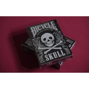 Bicycle Skull Metallic (Silver) USPCC by Gambler’s Warehouse
