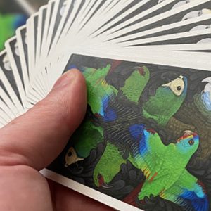 Parrot Prototype Playing Cards