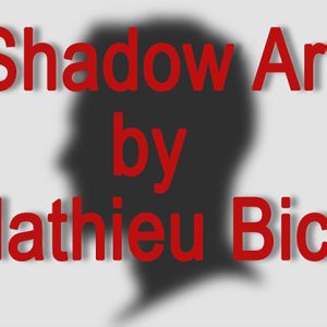 Shadow Art (Bat Man) by Mathieu Bich – Trick