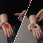 PETAL TO COIN by JL Magic – Trick