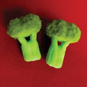 Sponge Broccoli (Set of Two) by Alexander May – Trick