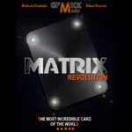 MATRIX REVOLUTION Blue by Mickael Chatelain  – Trick