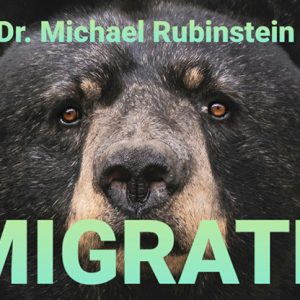 MIGRATE POKER CHIP by Dr. Michael Rubinstein – Trick