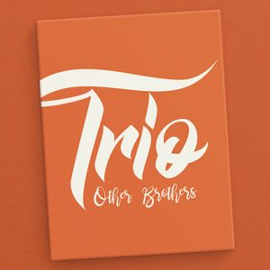 Trio (Gimmicks and Online Instructions) by The Other Brothers – Trick