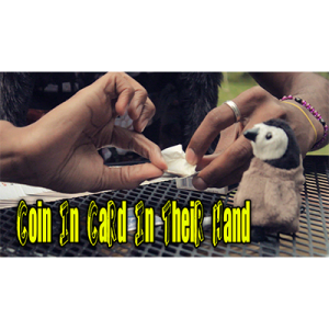 Coin In card by Jibrizy – Video DOWNLOAD