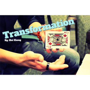 Transformation by Hui Zheng – Video DOWNLOAD