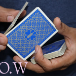 Magic Encarta Presents F.L.O.W by Vivek Singhi – Video DOWNLOAD