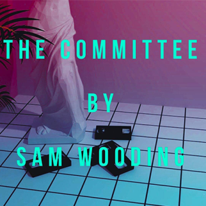The Committee by Sam Wooding eBook DOWNLOAD