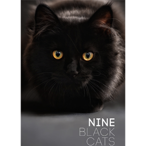 Nine Black Cats by Neema Atri eBook DOWNLOAD