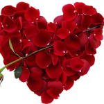 Valentine by Dynamite – video DOWNLOAD