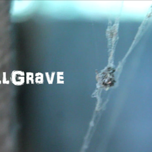 Bill Grave by Arnel Renegado video DOWNLOAD