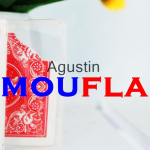 Camouflage by Agustin video DOWNLOAD