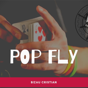 The Vault – Pop Fly by Bizau Cristian video DOWNLOAD