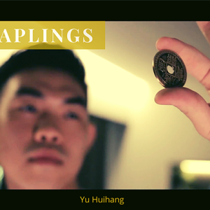 The Vault – Skymember Presents Saplings by Yu Huihang video DOWNLOAD