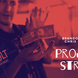 The Vault – Project Straw by Brandon David & Chris Turchi video DOWNLOAD