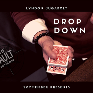 The Vault – Skymember Presents Drop Down by Lyndon Jugalbot mixed media DOWNLOAD