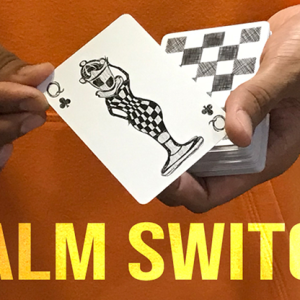 Magic Encarta Presents Palm Switch & Palm Control by Vivek Singhi