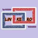 Linkero by Mario Tarasini video DOWNLOAD