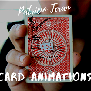 The Vault – Card Animations by Patricio Teran video DOWNLOAD