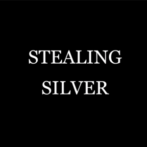Stealing Silver by Damien Fisher video DOWNLOAD