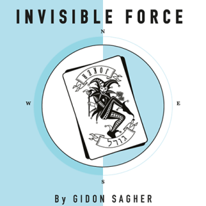 Invisible Force by Gidon Sagher eBook DOWNLOAD