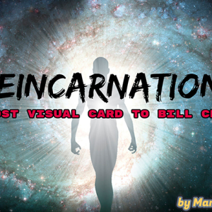 Reincarnation by Mario Tarasini video DOWNLOAD