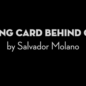 Playing Card Behind Glass by Salvador Molano video DOWNLOAD