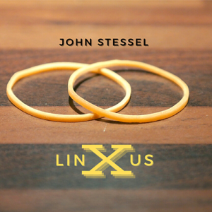 The Vault – Linxus by John Stessel video DOWNLOAD