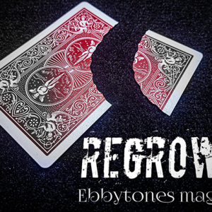 Regrown by Ebbytones video DOWNLOAD