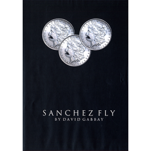Sanchez Fly by David Gabbay – video – DOWNLOAD