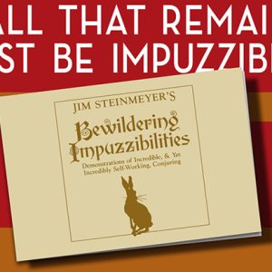 Bewildering Impuzzibilities by Jim Steinmeyer – Book