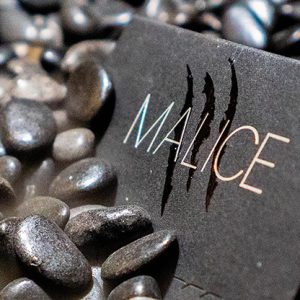 Malice (Gimmicks and Online Instructions) by Xavior Spade – Trick