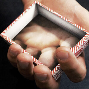 Visualies Gaff System (Gimmicks and Online Instructions) by Mechanic Industries – Trick