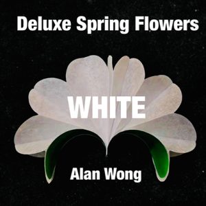 Deluxe Spring Flowers WHITE by Alan Wong – Trick