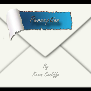 PERCEPTION by Kevin Cunliffe eBook DOWNLOAD