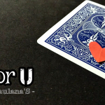 For U by Maluanas video DOWNLOAD