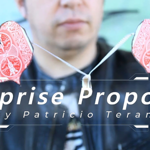 Surprise Proposal by Patricio Teran video DOWNLOAD